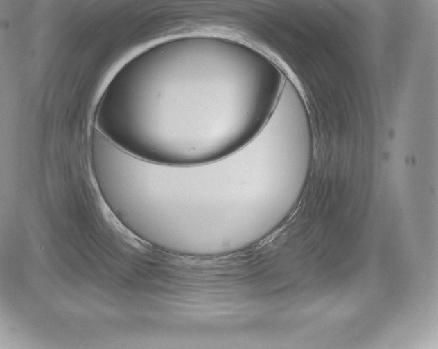 X0000082741532200701261018