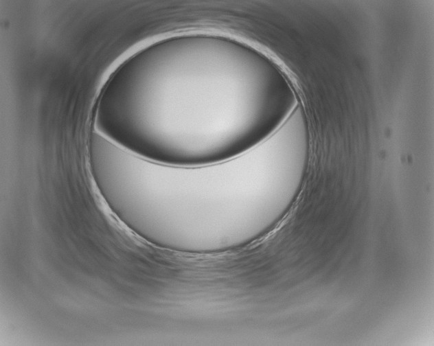 X0000082741534200701261018