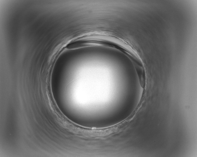 X0000082740001200701261453