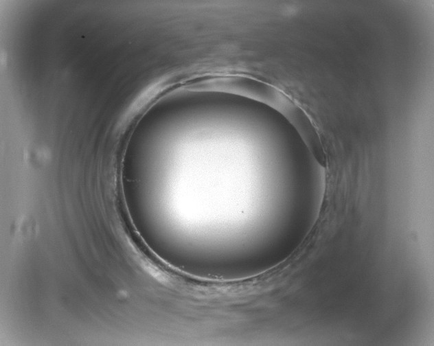 X0000082740005200701261453