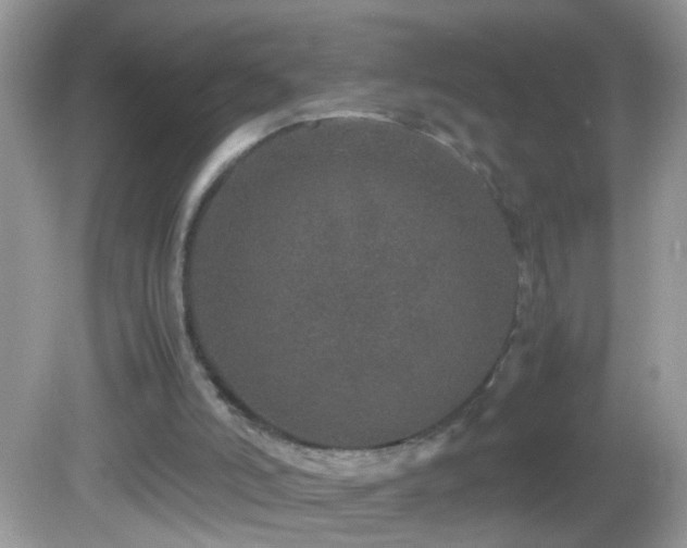 X0000082740006200701261453