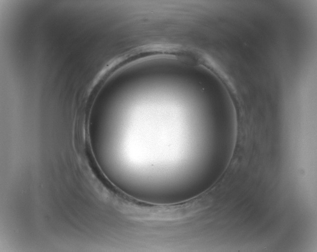 X0000082740011200701261453