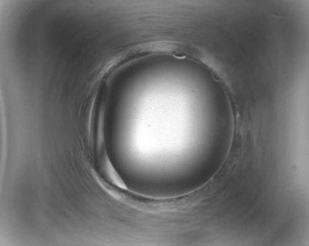 X0000082740013200701261453