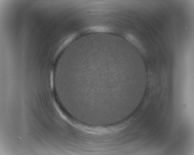 X0000082740014200701261453