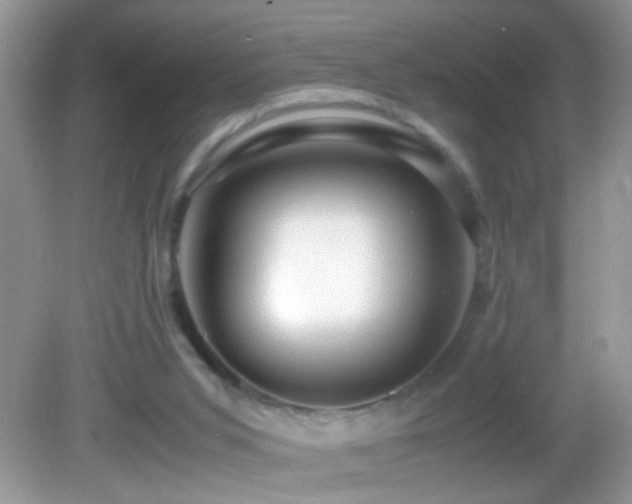 X0000082740015200701261453