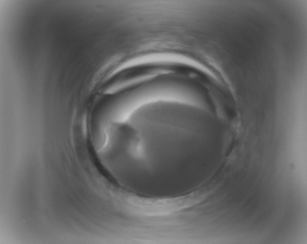 X0000082740019200701261453