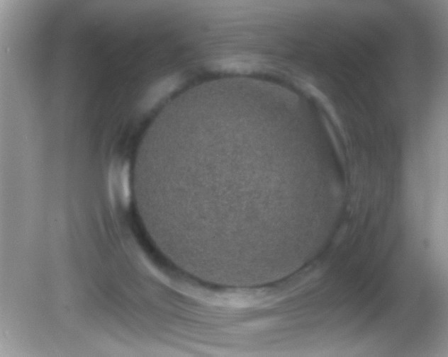 X0000082740020200701261453