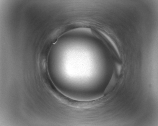 X0000082740021200701261453