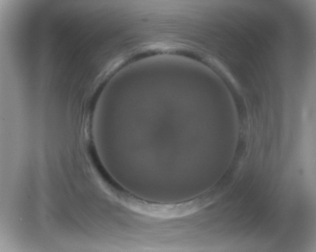 X0000082740023200701261453