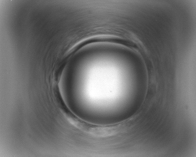 X0000082740025200701261453