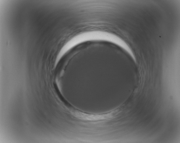 X0000082740031200701261453