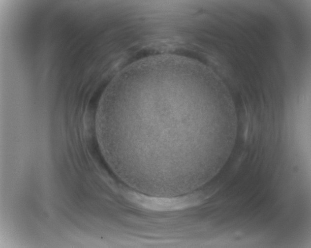 X0000082740034200701261453