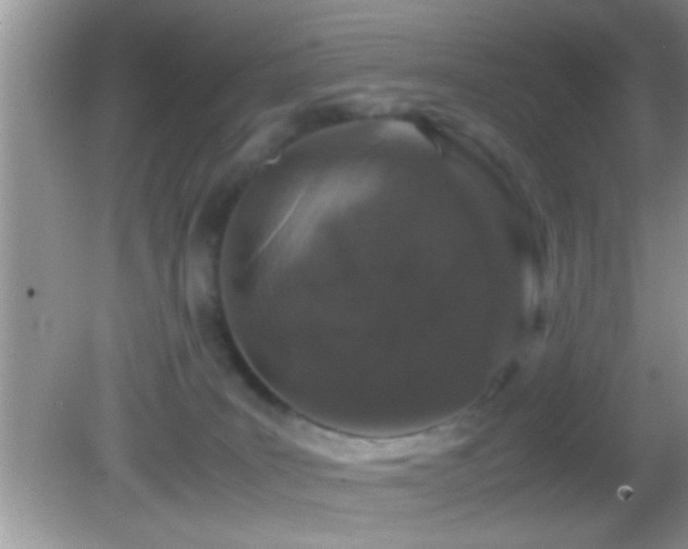 X0000082740035200701261453