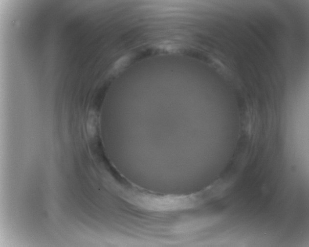 X0000082740036200701261453