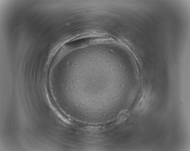 X0000082740049200701261452