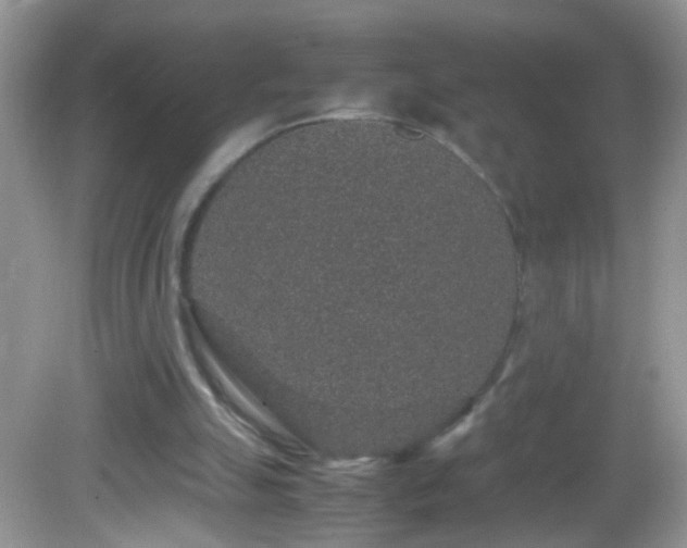 X0000082740055200701261452
