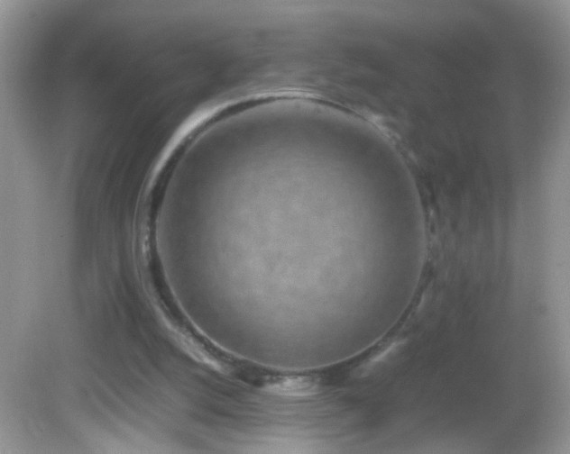 X0000082740056200701261452