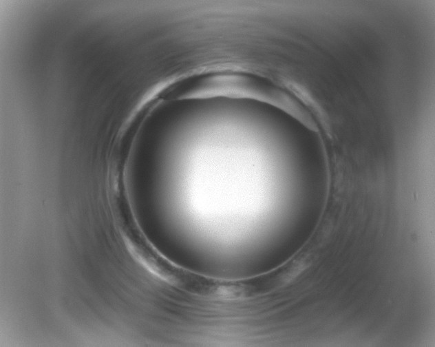 X0000082740060200701261452