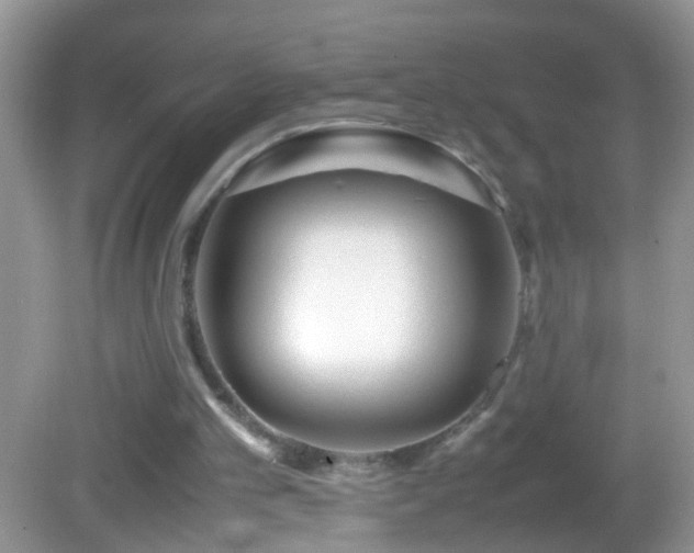 X0000082740101200701261452