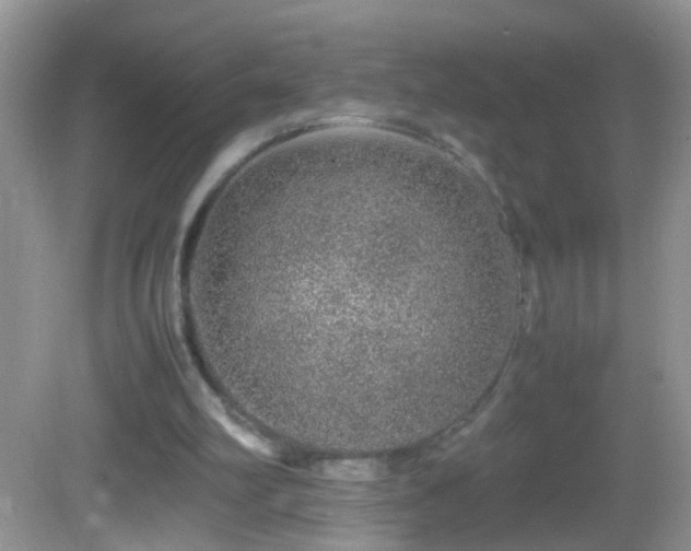 X0000082740102200701261452