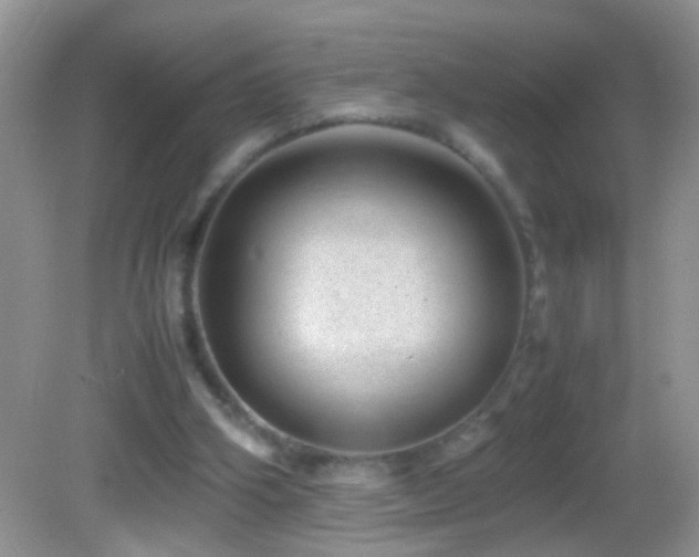 X0000082740106200701261451