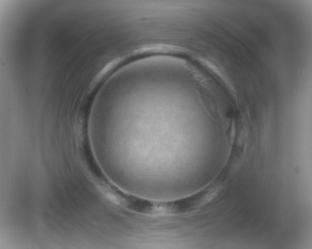 X0000082740111200701261451