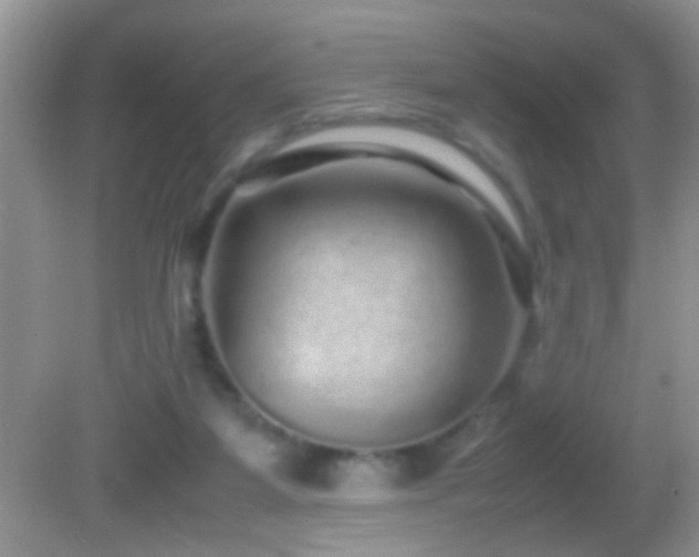 X0000082740115200701261451