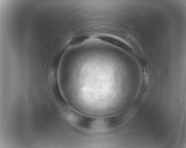 X0000082740123200701261451