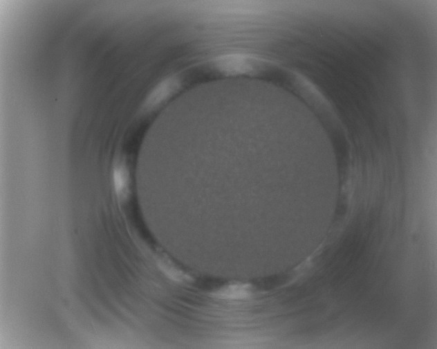 X0000082740124200701261451