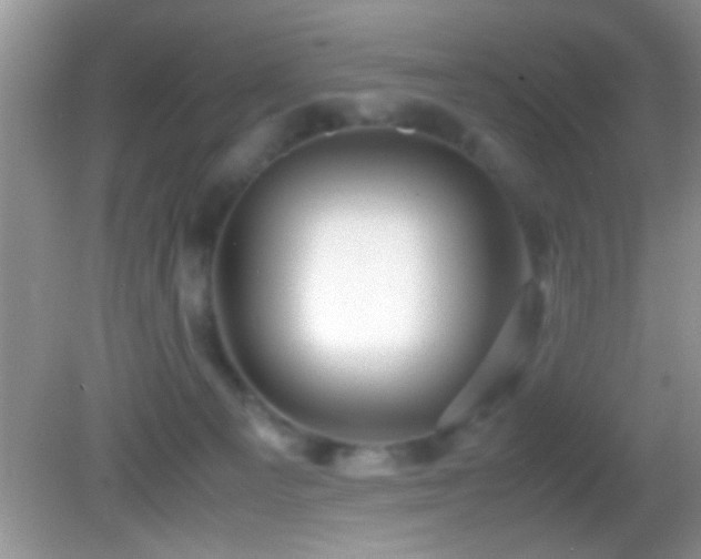 X0000082740129200701261451