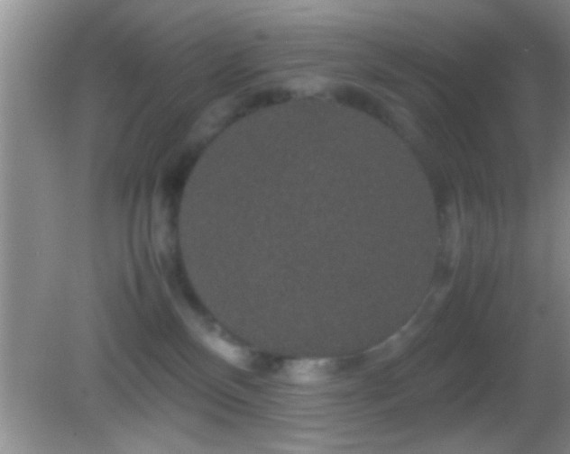 X0000082740136200701261451