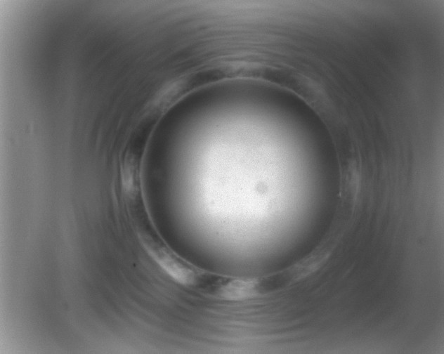 X0000082740138200701261451