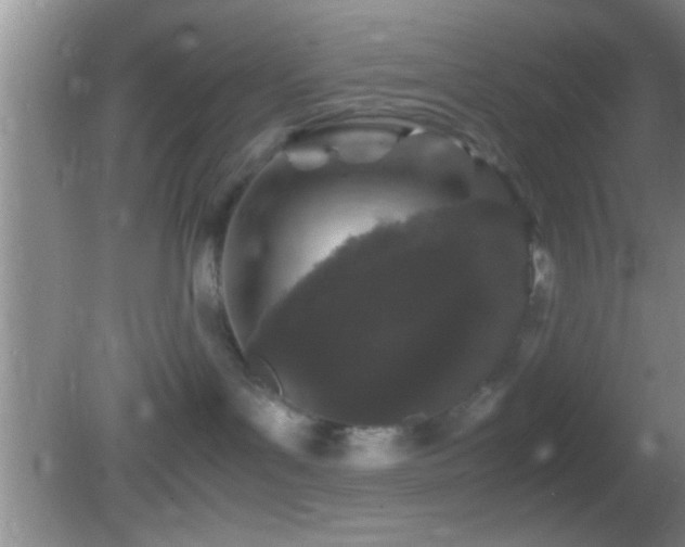 X0000082740143200701261451