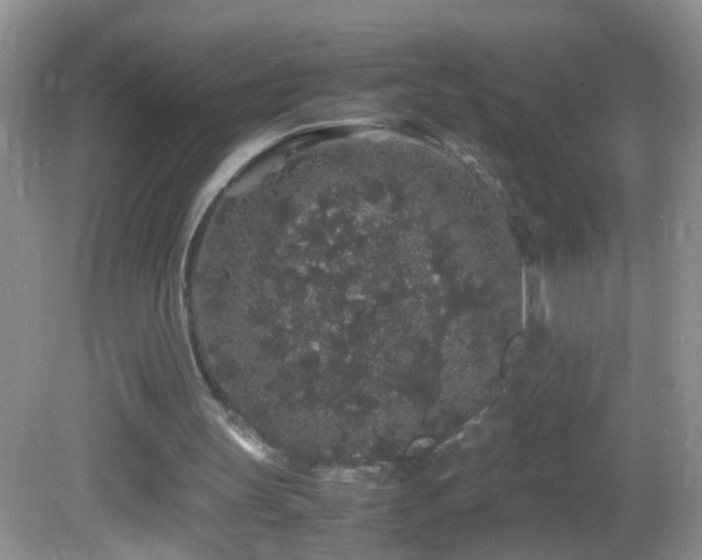 X0000082740147200701261450