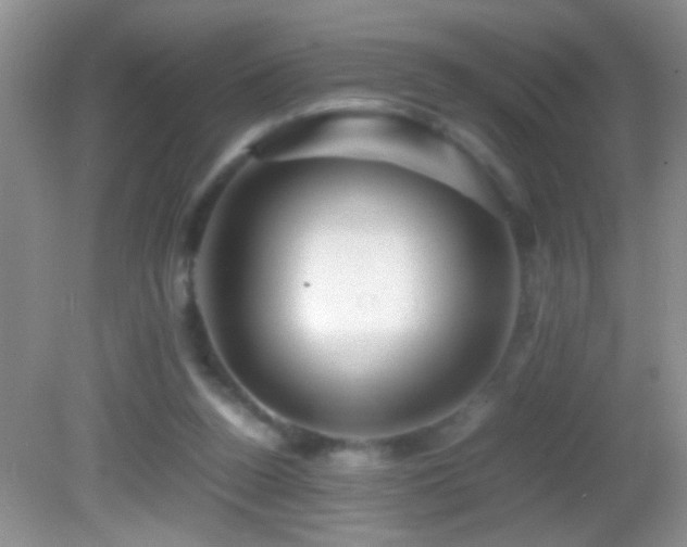 X0000082740160200701261450