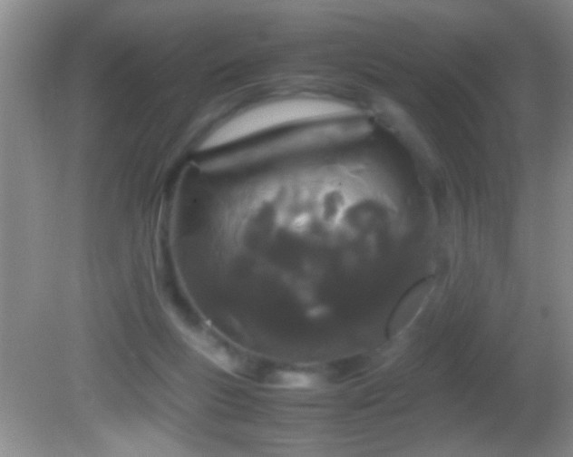 X0000082740167200701261450