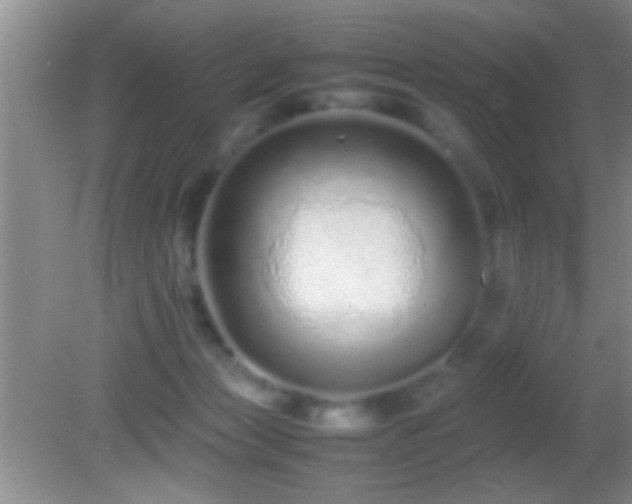 X0000082740173200701261451