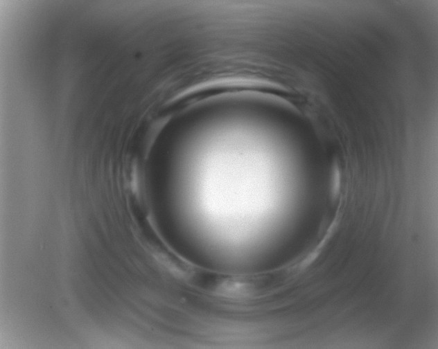 X0000082740174200701261451
