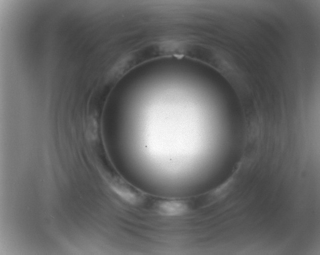 X0000082740183200701261451