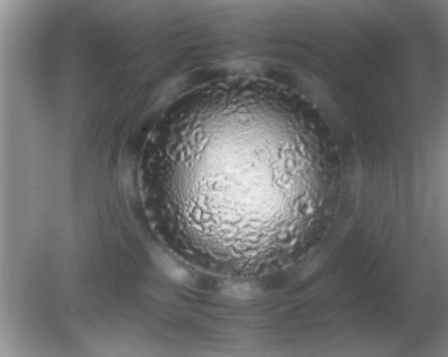 X0000082740185200701261451