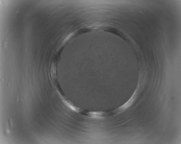 X0000082740192200701261451