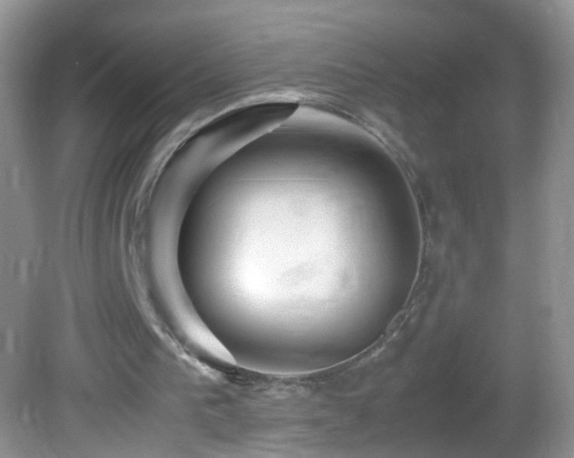 X0000082740193200701261450