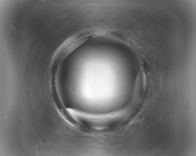 X0000082740197200701261450