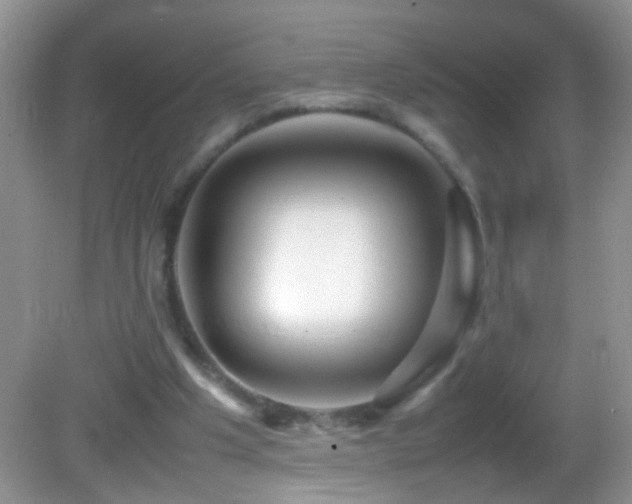 X0000082740201200701261450