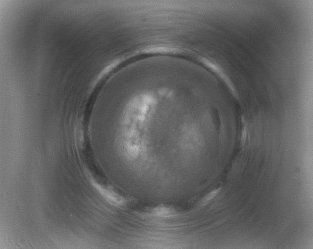 X0000082740204200701261450