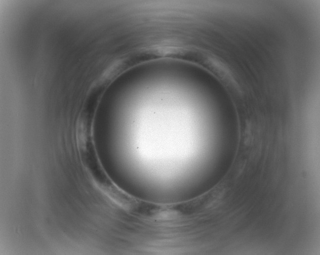 X0000082740210200701261450
