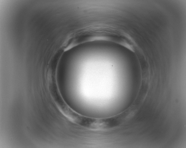 X0000082740213200701261450