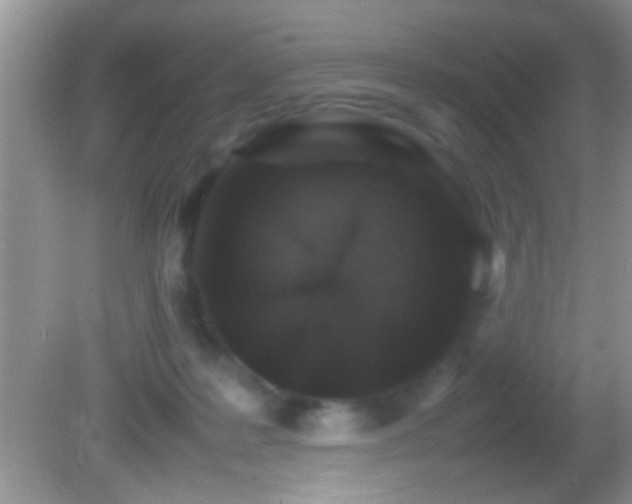 X0000082740219200701261450