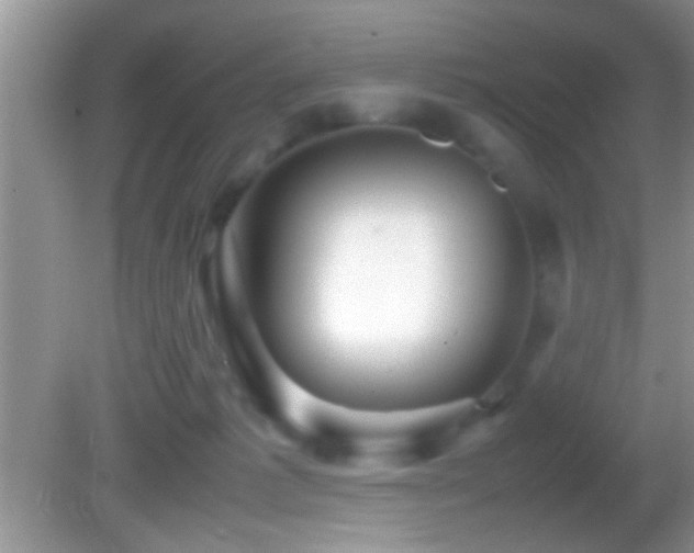 X0000082740221200701261450