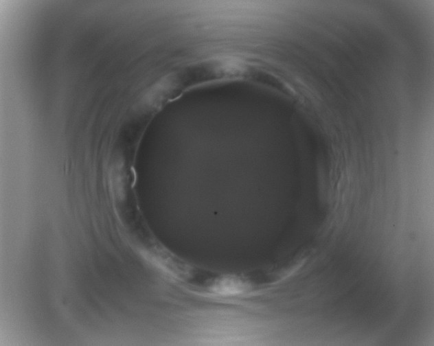 X0000082740223200701261450